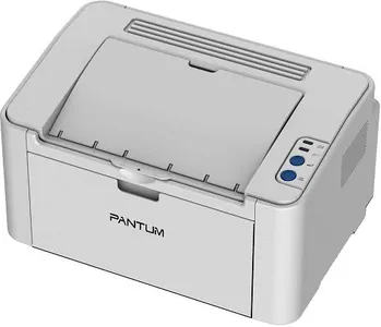 Ремонт принтера Pantum P2200 в Челябинске